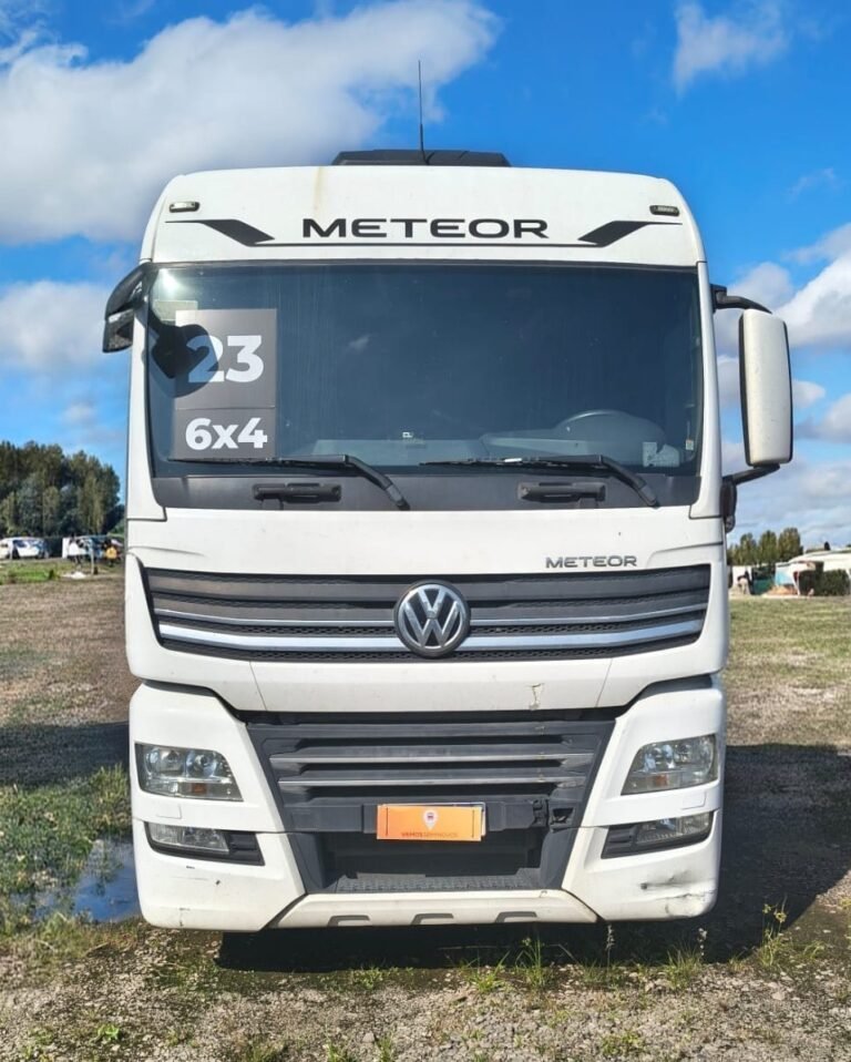 VOLKSWAGEN VOLKSWAGEN/29.520 METEOR 6X4